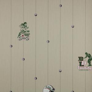 Papel de Parede All Kids Linha Esportiva H2910402 - Rolo: 10m x 0,53m Vinilizado Tam 53m x 10.00 (C x A)    